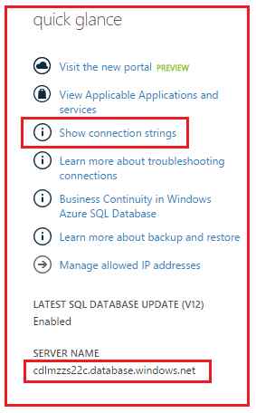 show connection string 